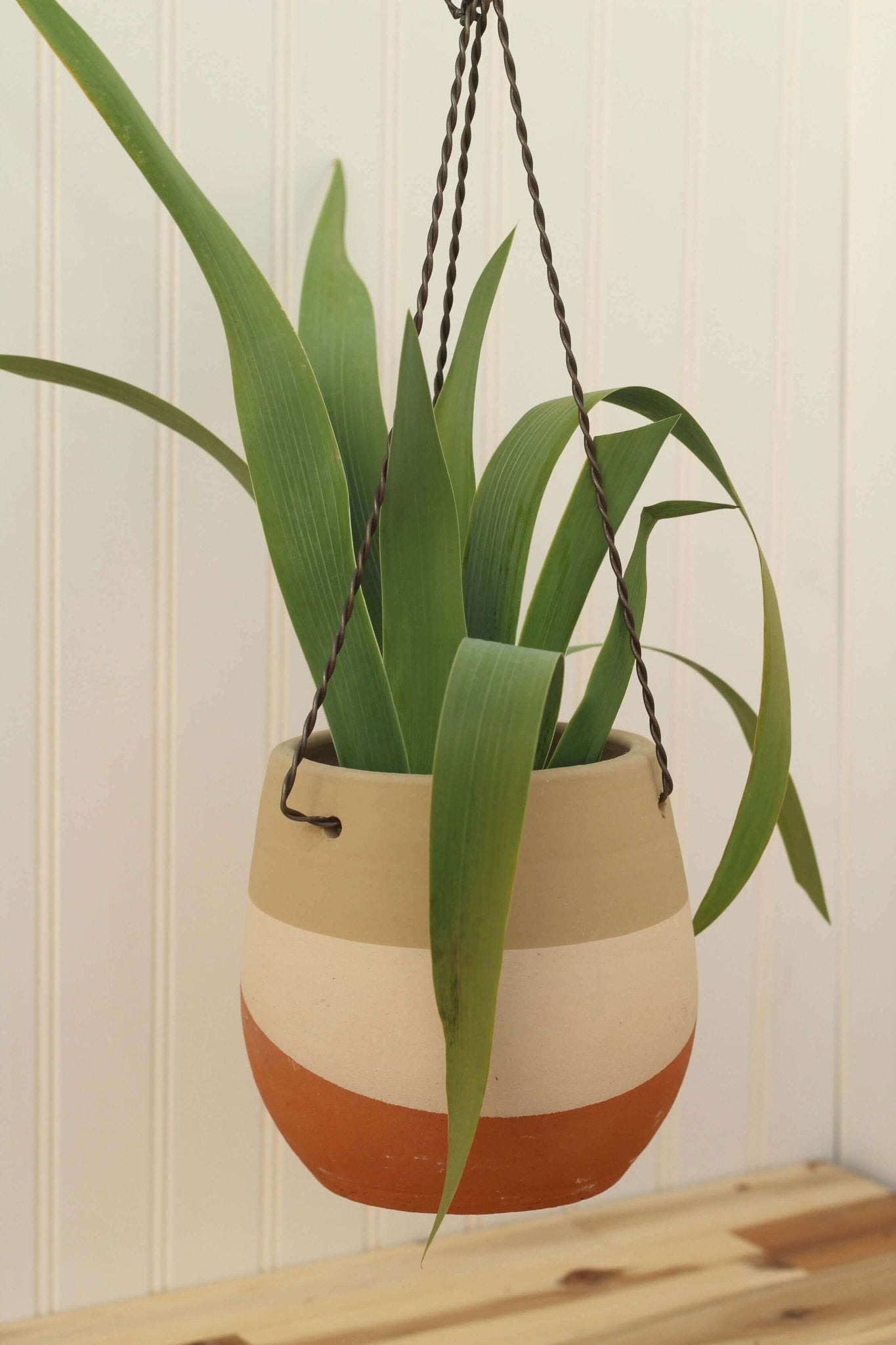 Clay Hanging Pots - Set of 3 - Solange & Frances