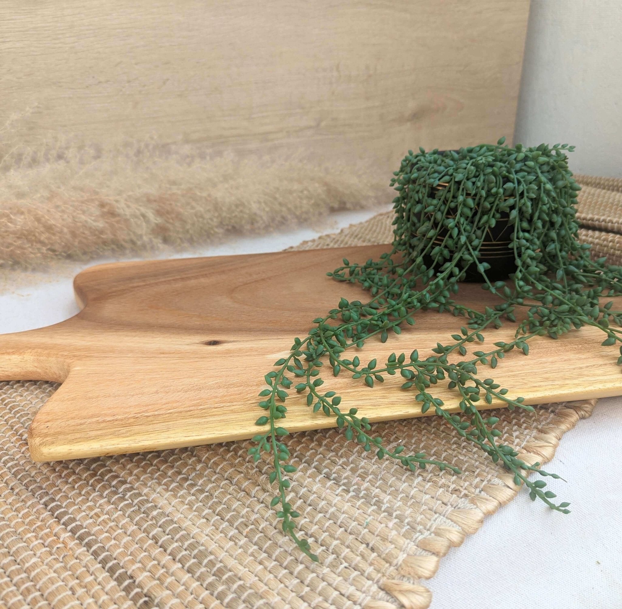 Live Edge Charcuterie Board - Large - Solange & Frances