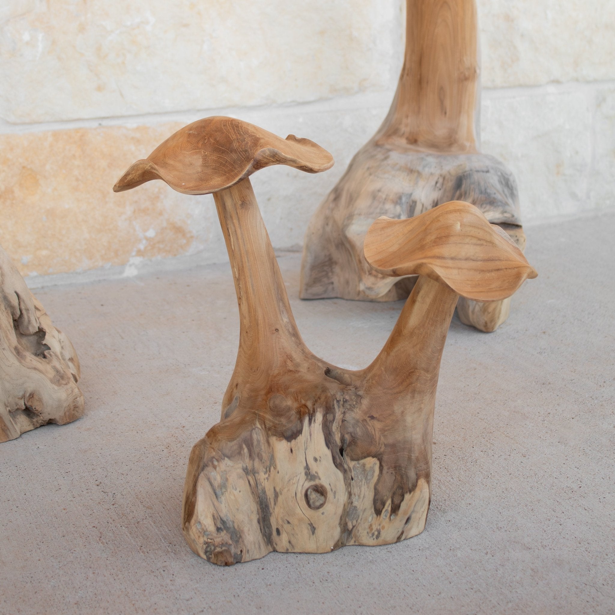 Teak Wood Mushrooms - Solange & Frances