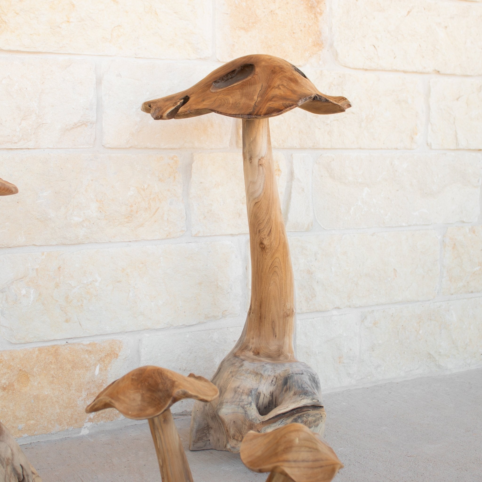 Teak Wood Mushrooms - Solange & Frances