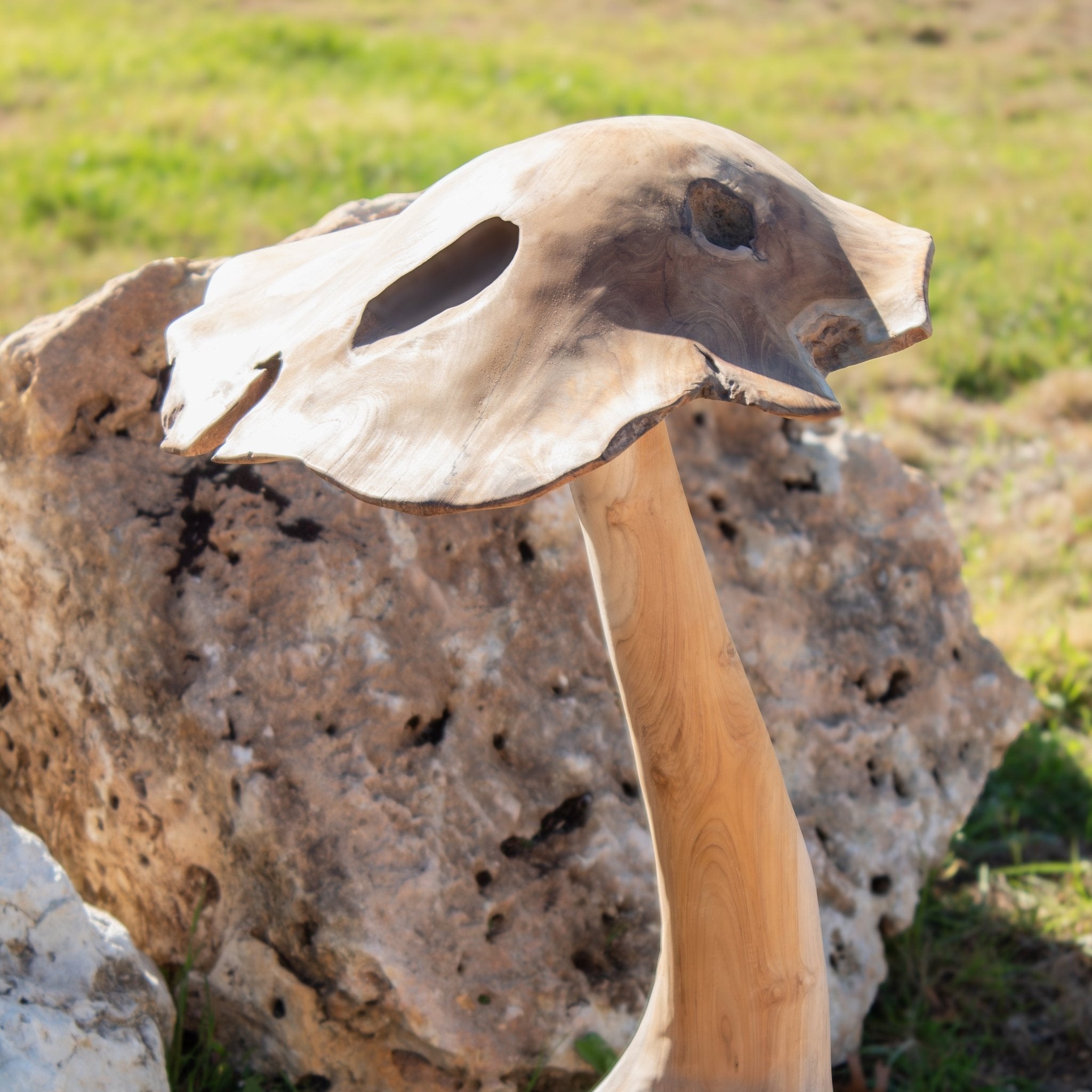 Teak Wood Mushrooms - Solange & Frances