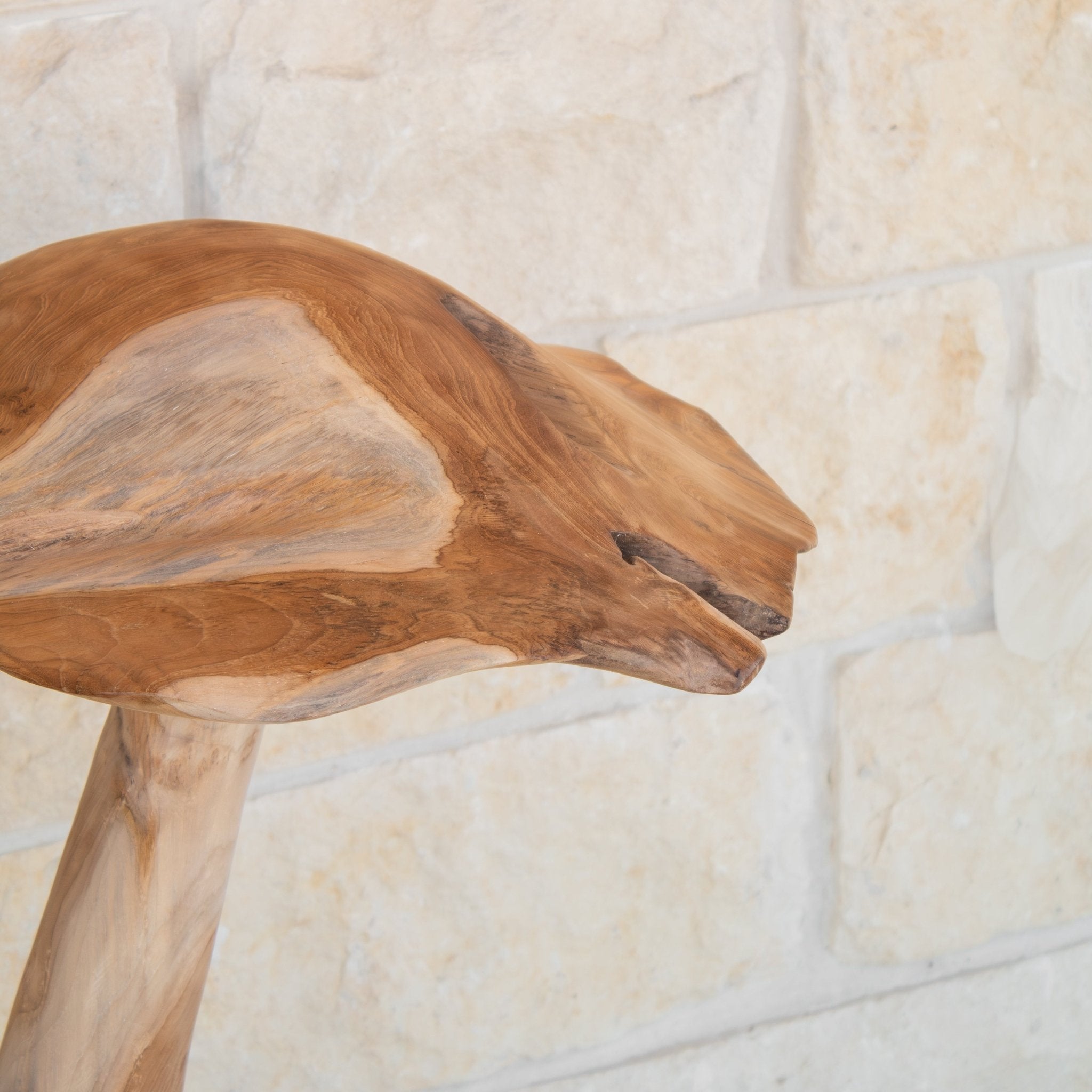 Teak Wood Mushrooms - Solange & Frances