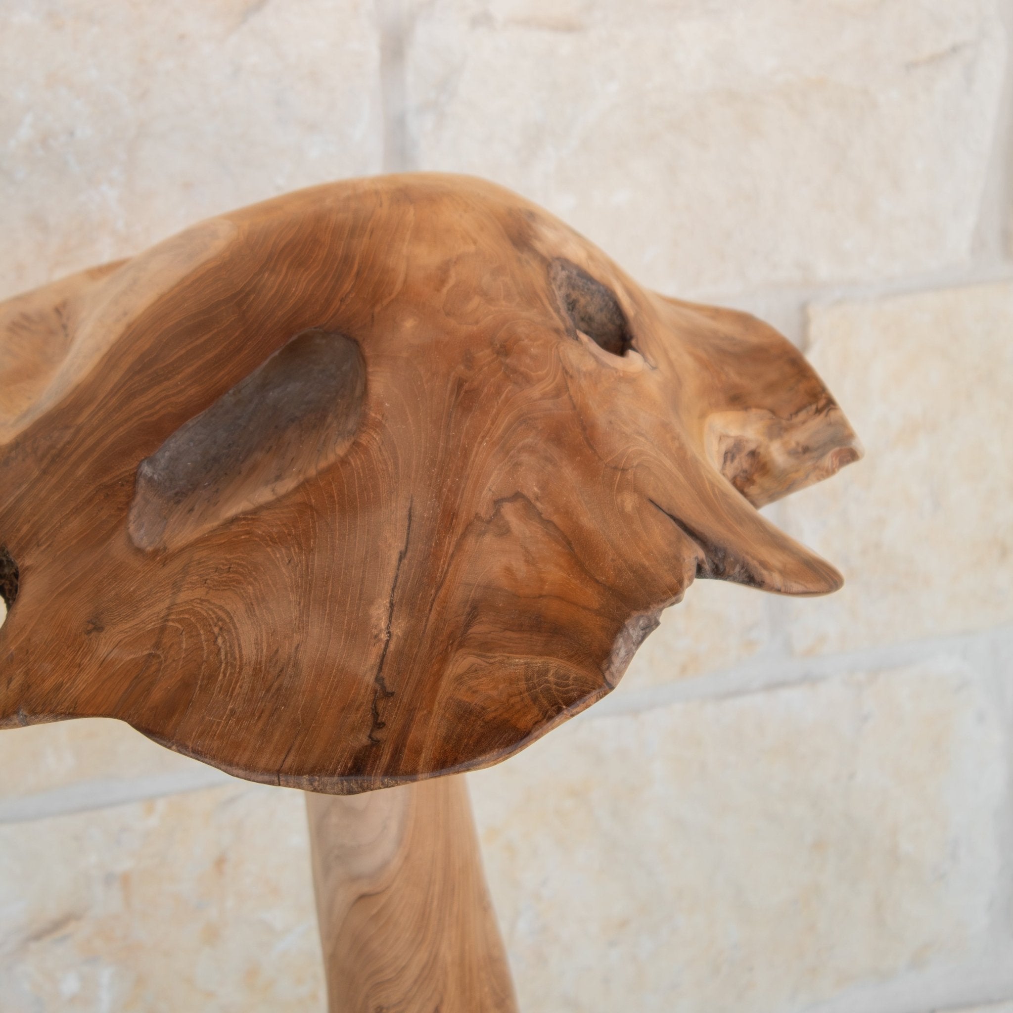 Teak Wood Mushrooms - Solange & Frances