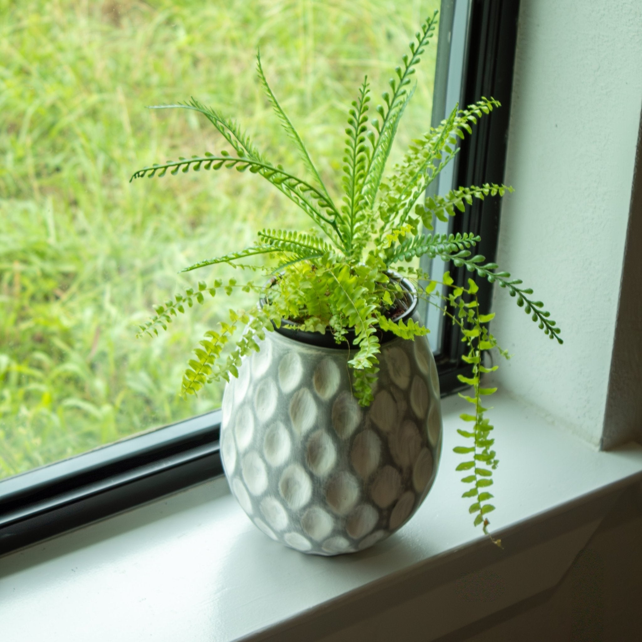 White - washed Clay Terracotta Pot - Solange & Frances
