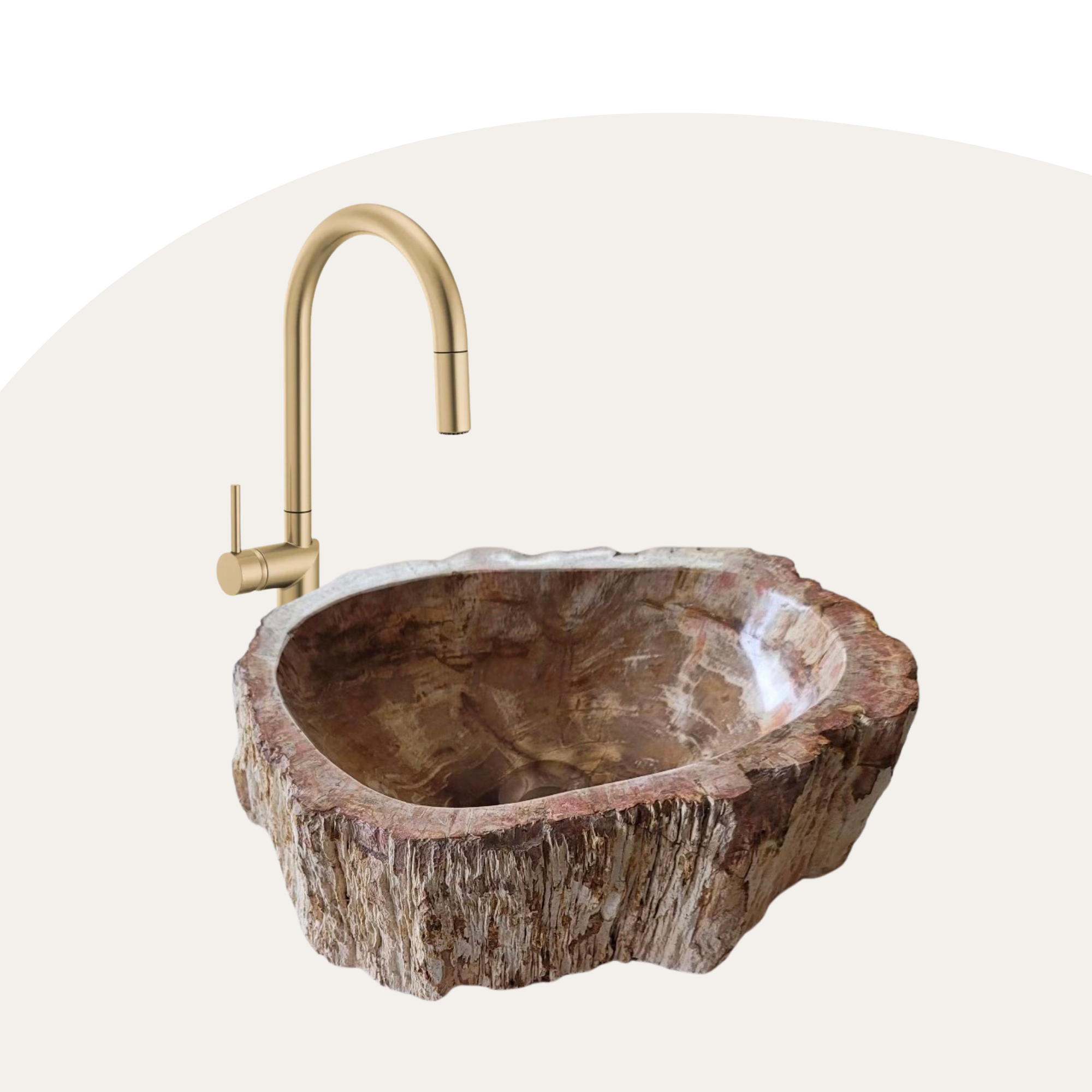 Petrified Wood Vessel Sink