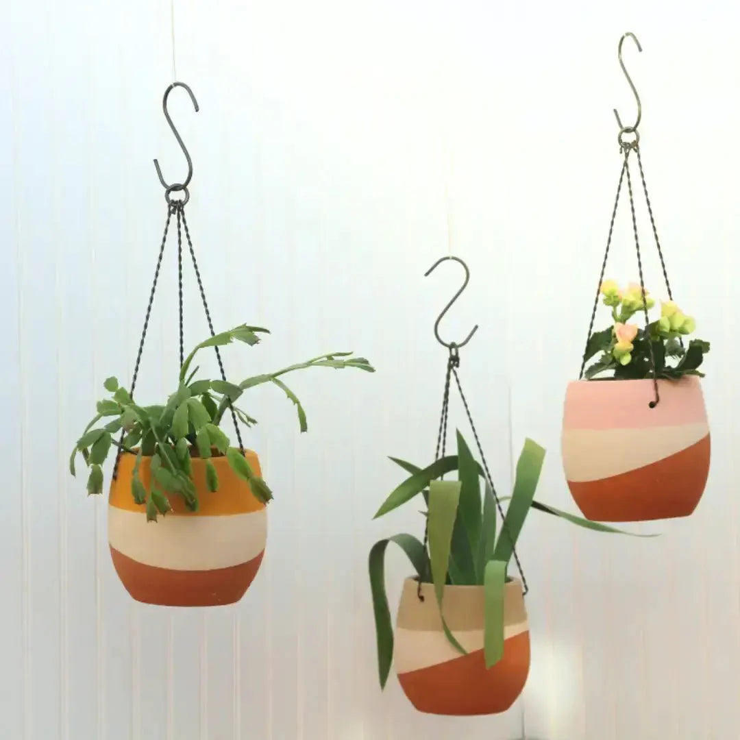 Clay Hanging Pots - Set of 3 - Solange & Frances
