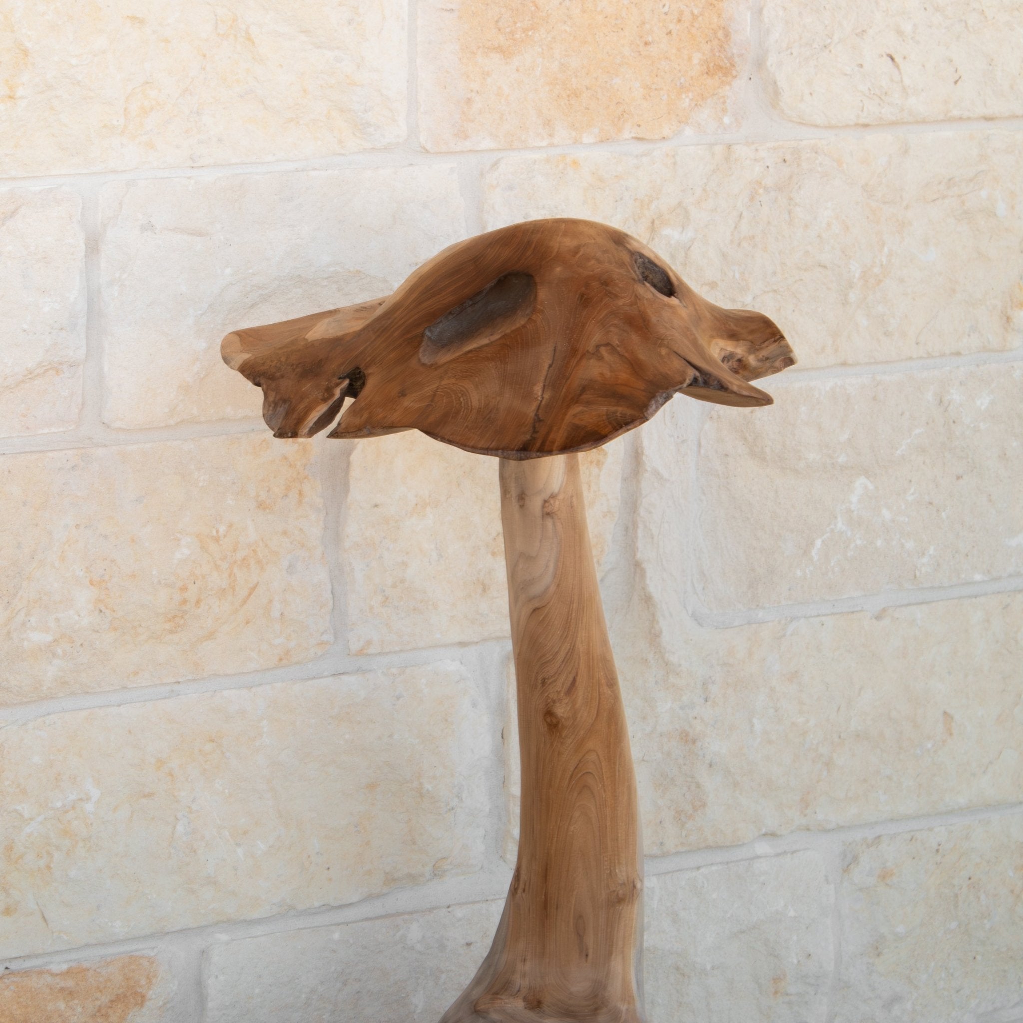 Teak Wood Mushrooms - Solange & Frances