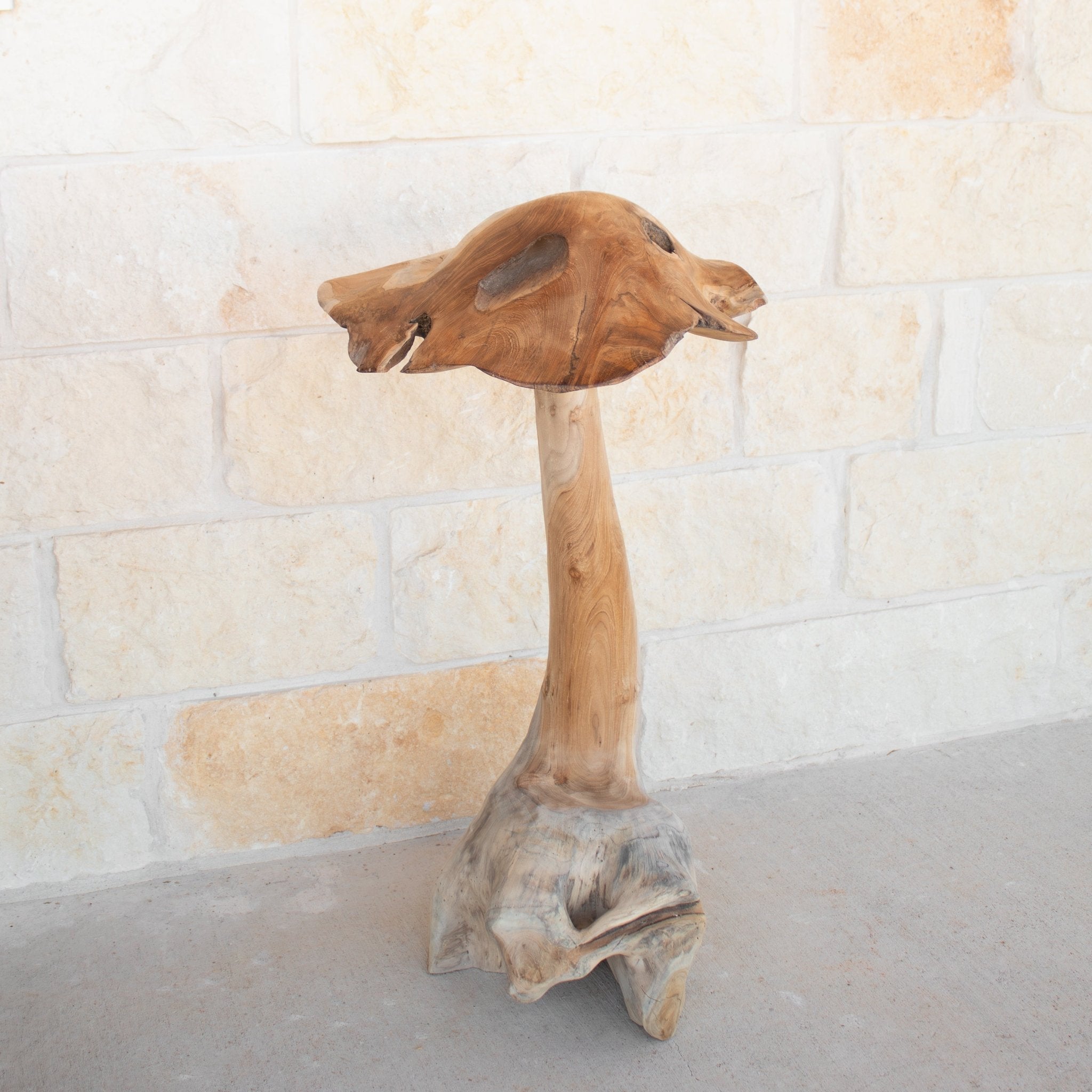 Teak Wood Mushrooms - Solange & Frances