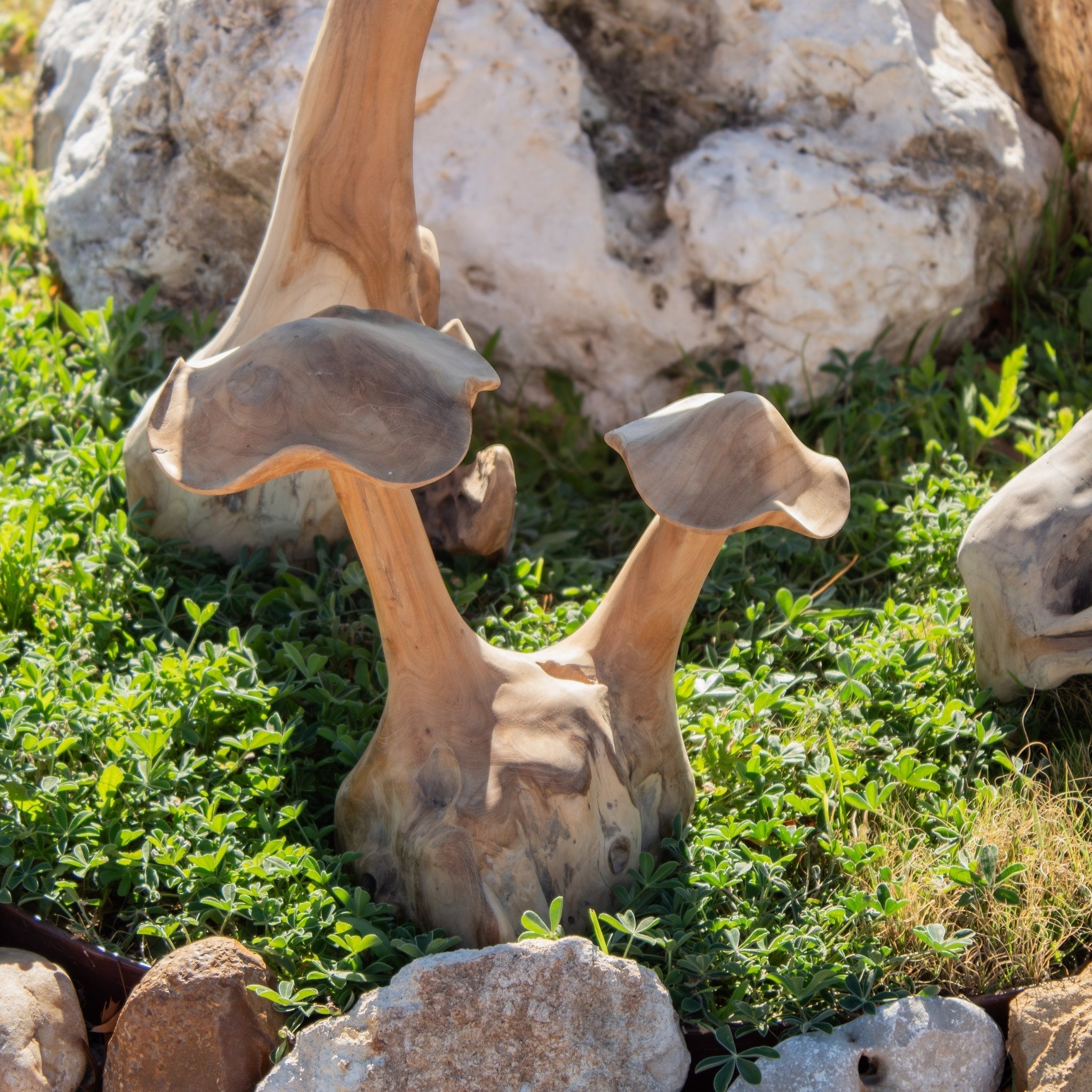 Teak Wood Mushrooms - Solange & Frances