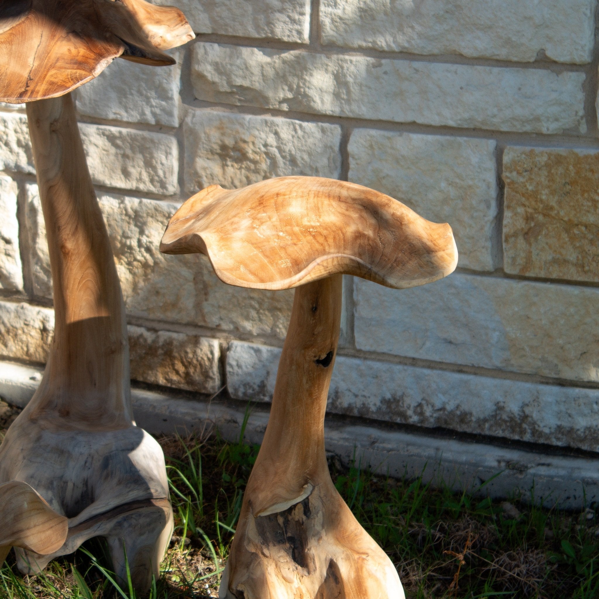 Teak Wood Mushrooms - Solange & Frances