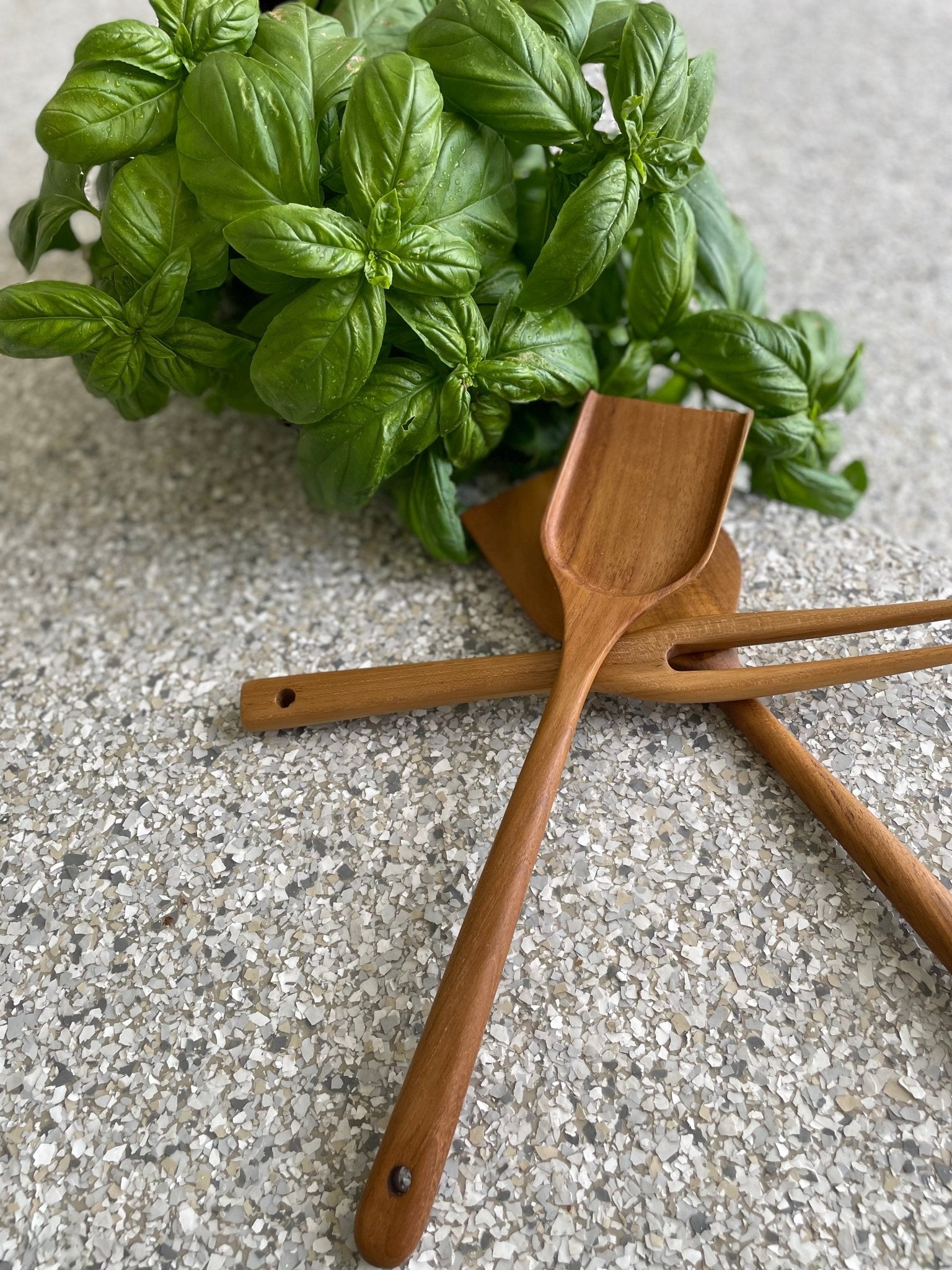 Teak Wood Spatula - Large - Solange & Frances