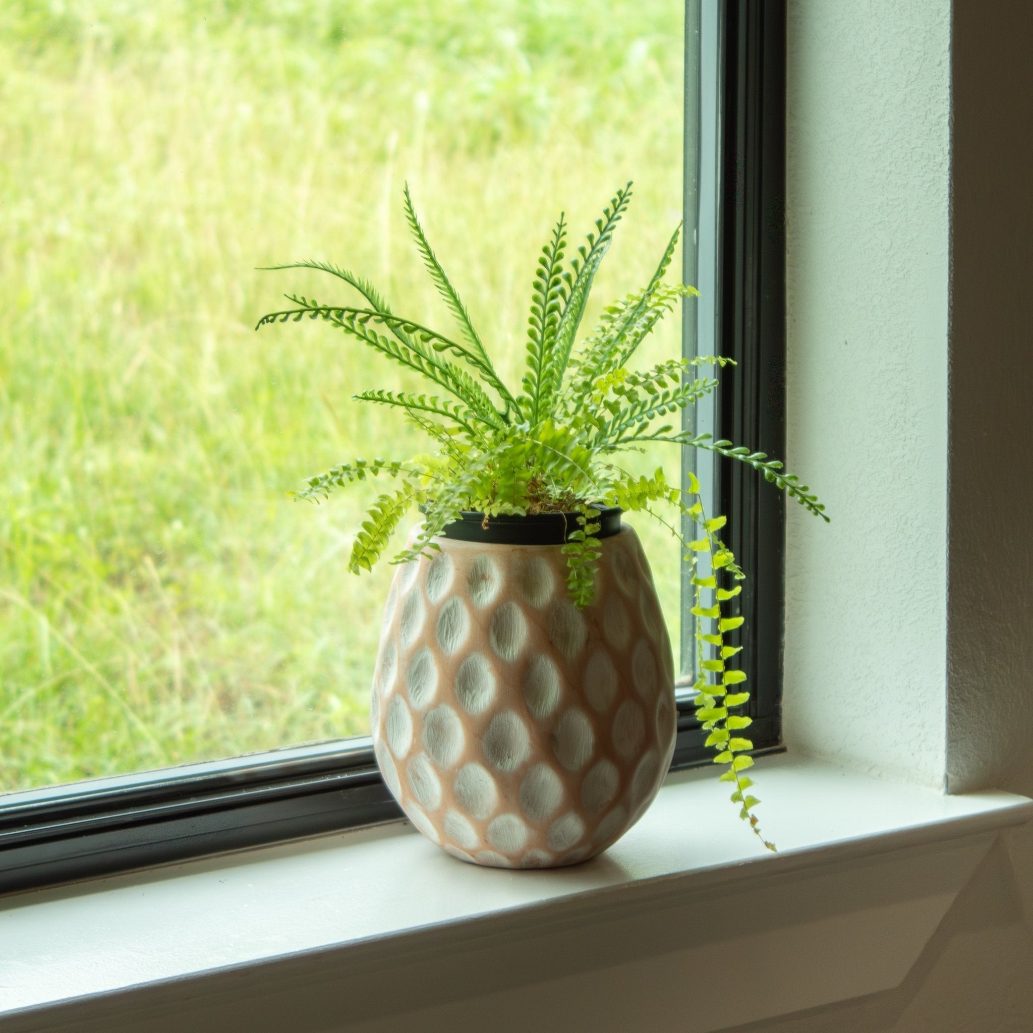 White - washed Clay Terracotta Pot - Solange & Frances