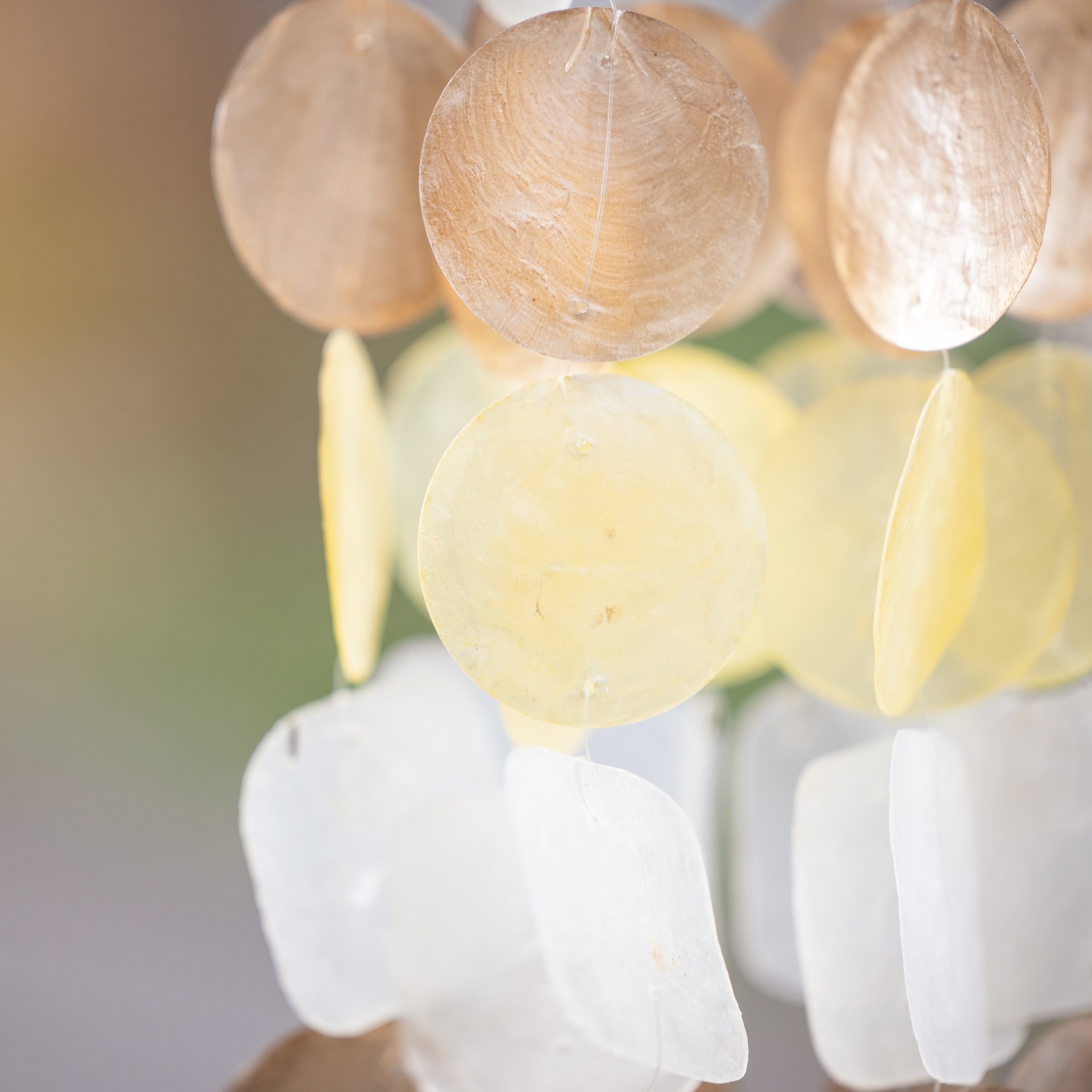 Grace Capiz Shell Windchime