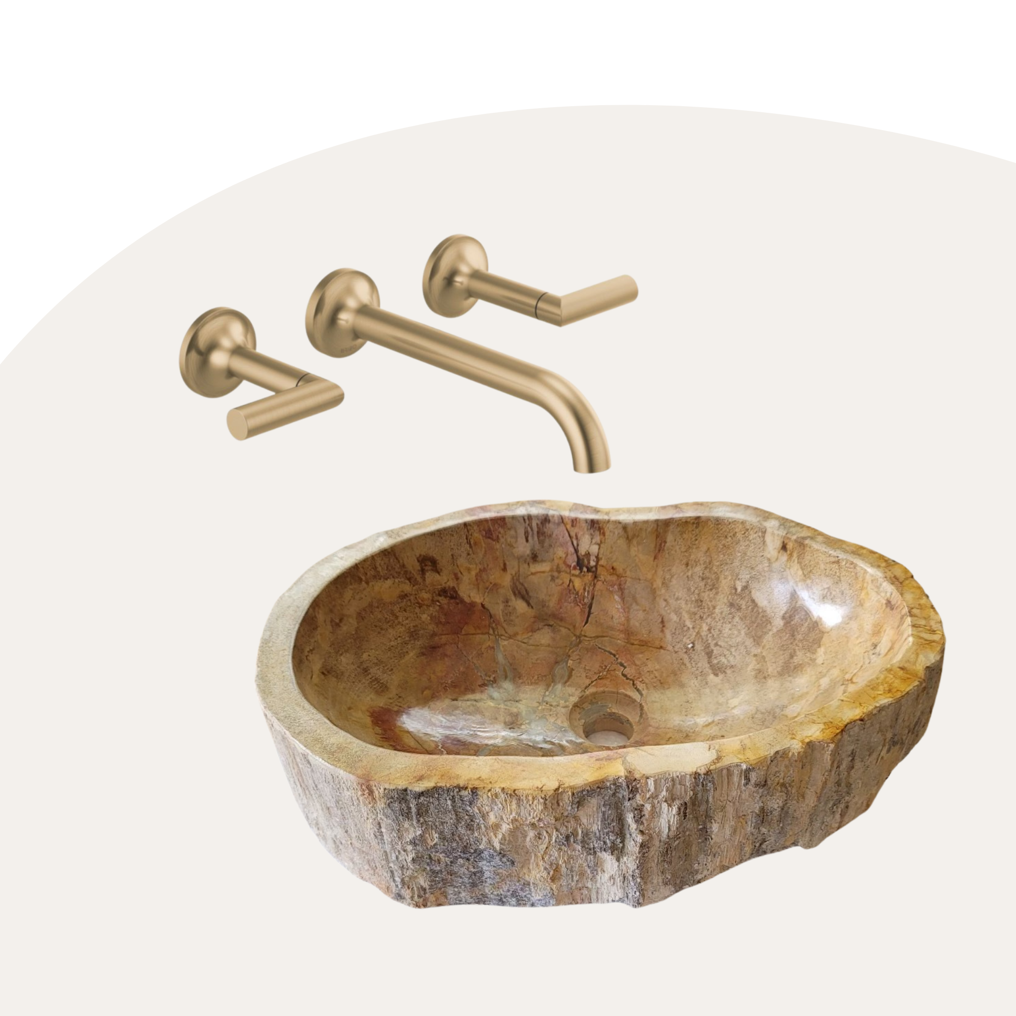 Petrified Wood Vessel Sink