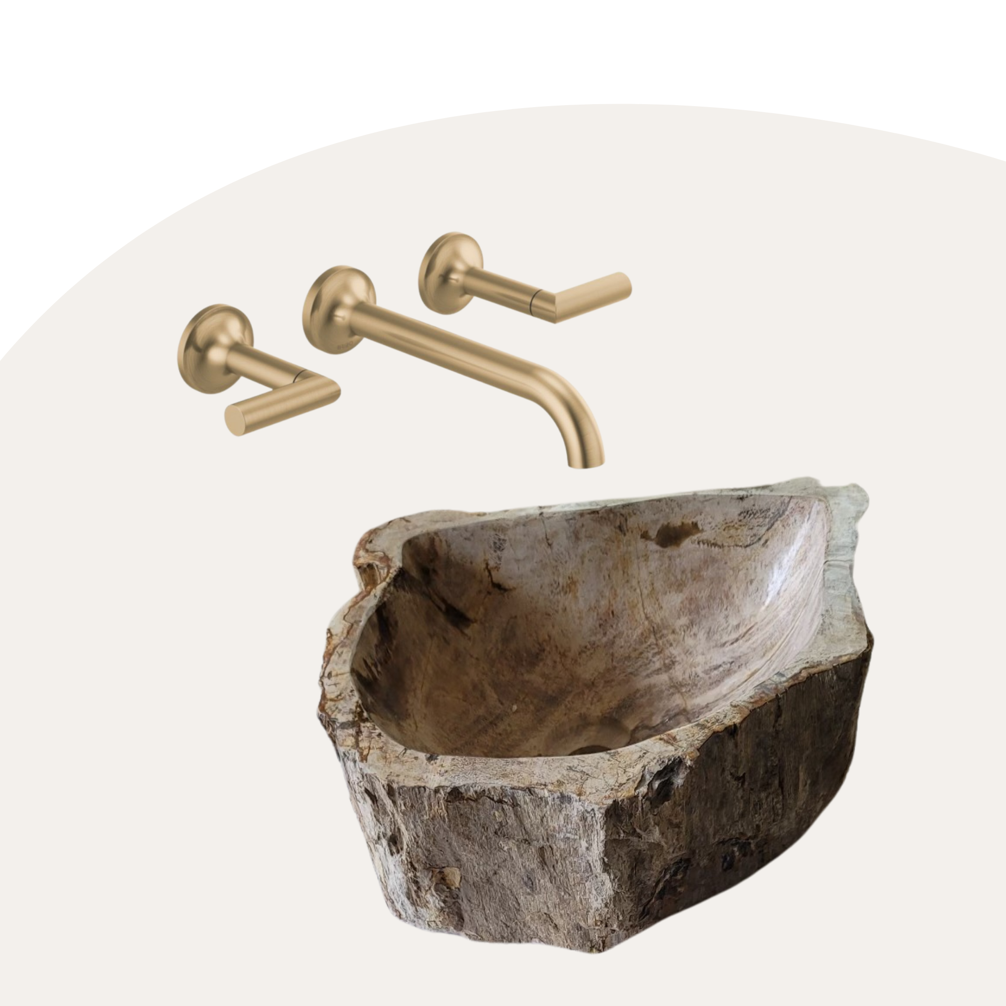 Petrified Wood Vessel Sink